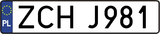 ZCHJ981
