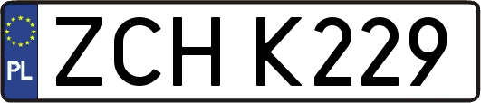ZCHK229
