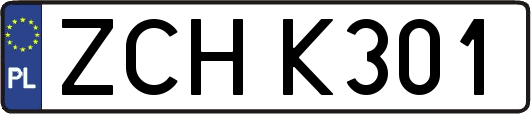 ZCHK301