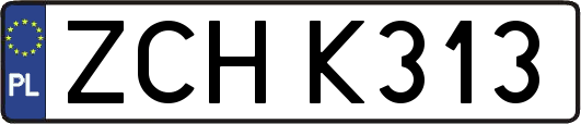 ZCHK313