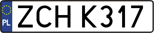 ZCHK317
