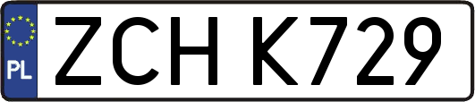 ZCHK729
