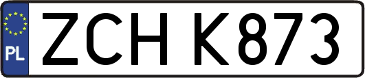ZCHK873