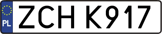 ZCHK917