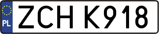 ZCHK918