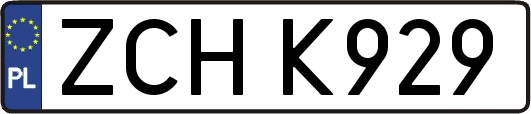 ZCHK929