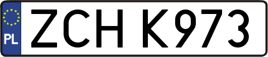 ZCHK973