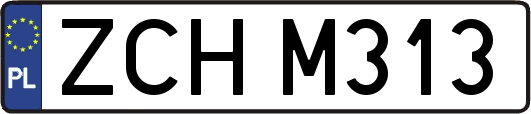 ZCHM313