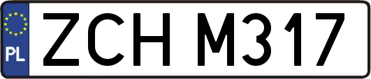 ZCHM317