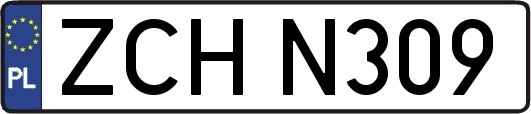 ZCHN309