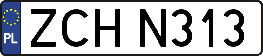 ZCHN313