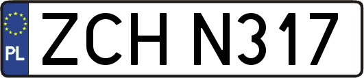 ZCHN317