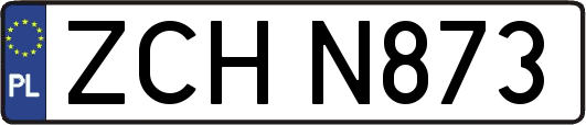 ZCHN873