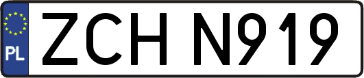ZCHN919