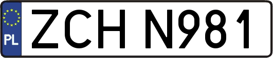 ZCHN981