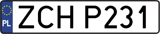 ZCHP231