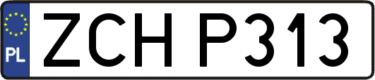 ZCHP313