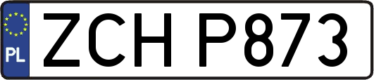 ZCHP873