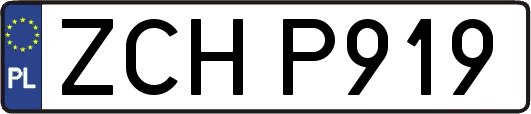 ZCHP919