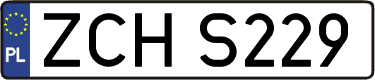 ZCHS229