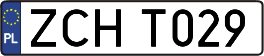 ZCHT029