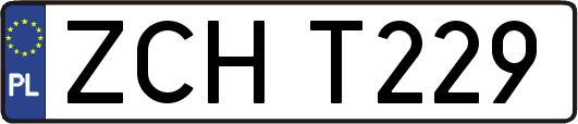 ZCHT229