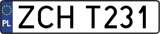 ZCHT231