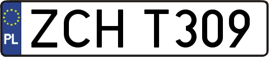 ZCHT309