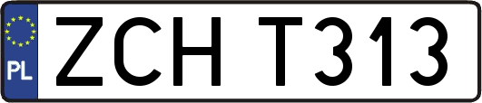 ZCHT313