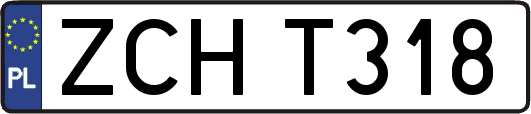 ZCHT318