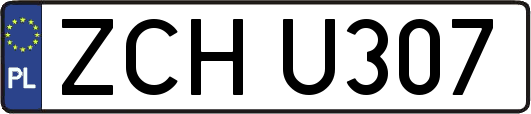 ZCHU307