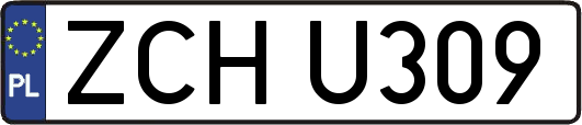 ZCHU309