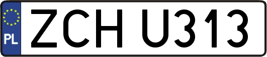 ZCHU313
