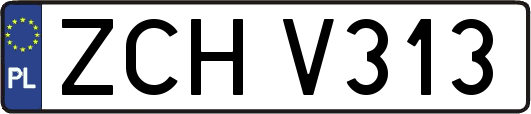 ZCHV313