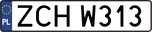 ZCHW313