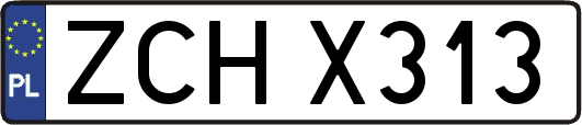 ZCHX313