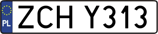 ZCHY313