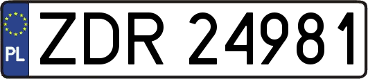 ZDR24981