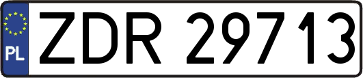 ZDR29713