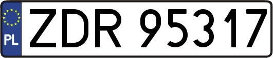 ZDR95317