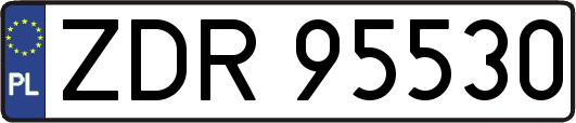 ZDR95530