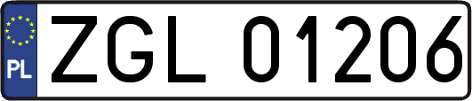 ZGL01206