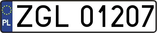 ZGL01207