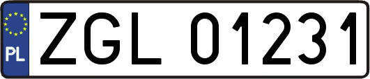 ZGL01231