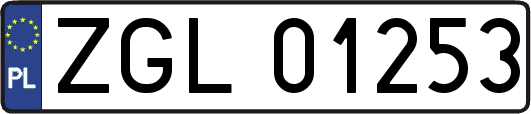ZGL01253