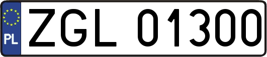 ZGL01300