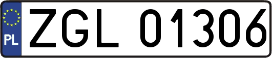 ZGL01306
