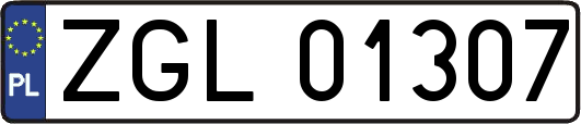 ZGL01307