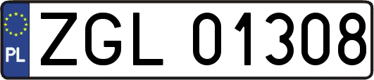 ZGL01308