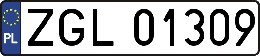 ZGL01309
